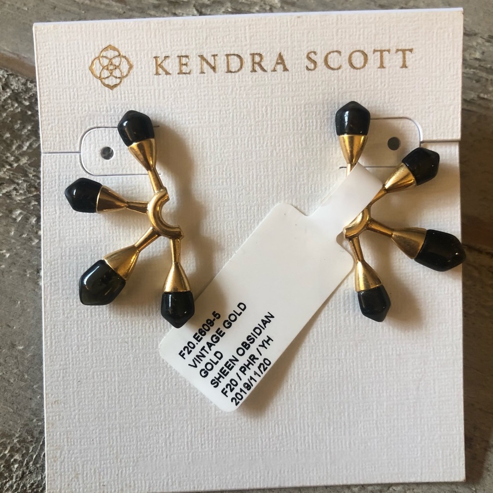 Kendra Scott Rare Earrings